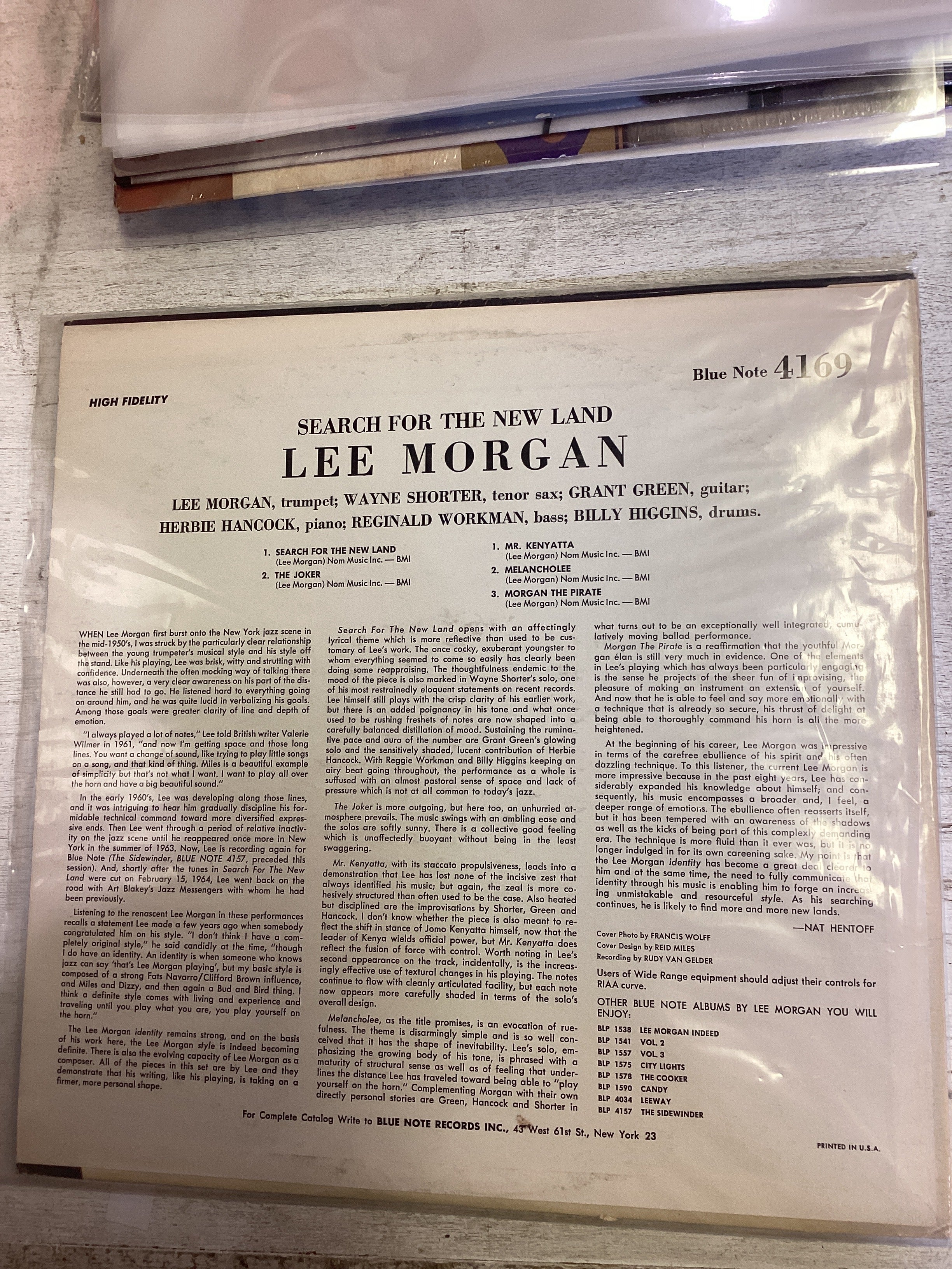 Search For The New Land