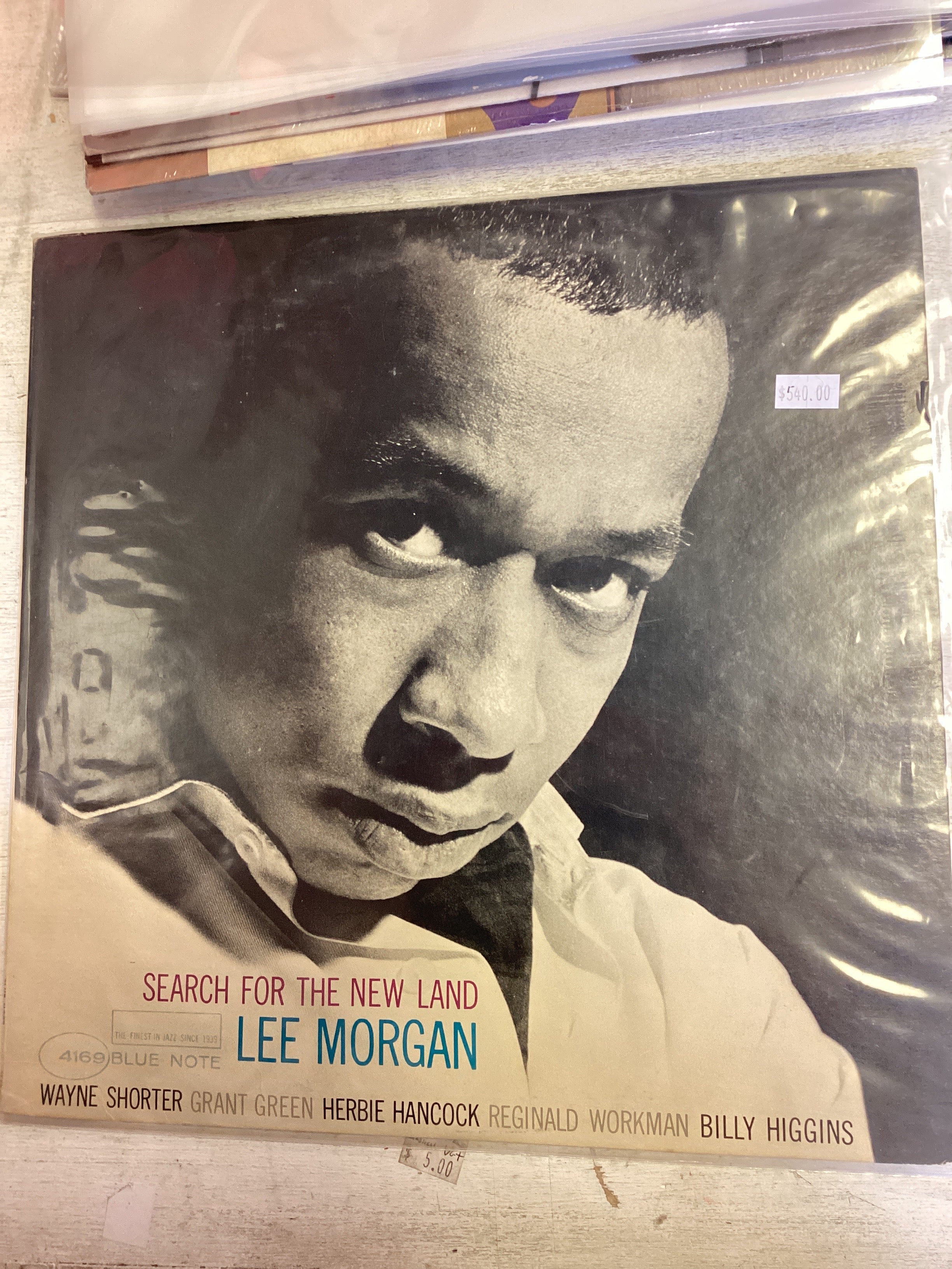 Search For The New Land