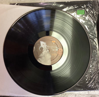 The Beatles (Black Album)